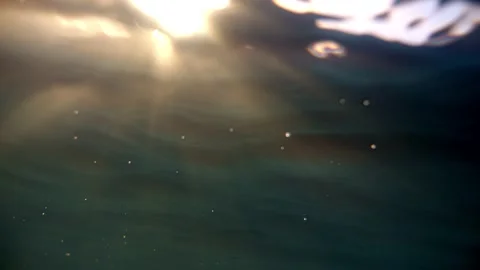 Camera below the surface of the water, the sun breaks through the water. We.. Stock Footage 234316286