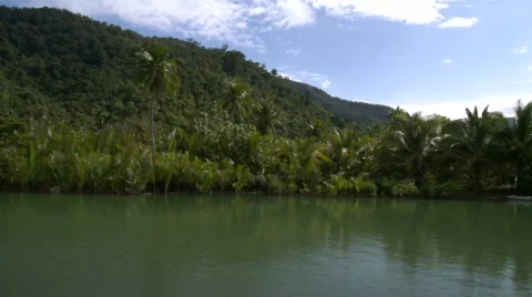 Camera on a boat cruising up river through mangrove and towards palm trees 스톡 동영상 609679