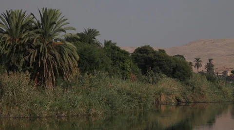 Camera boat Nile river, palm and desertic mountains Stock Footage 34994853