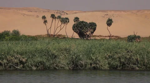 Camera boat - Nile shores with palms and desert 2 Stock Footage 35119702