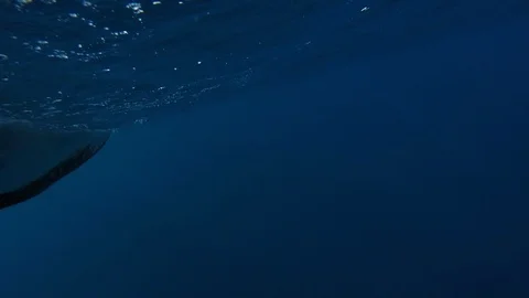 Camera breaking water surface above and below Stock Footage 120368293