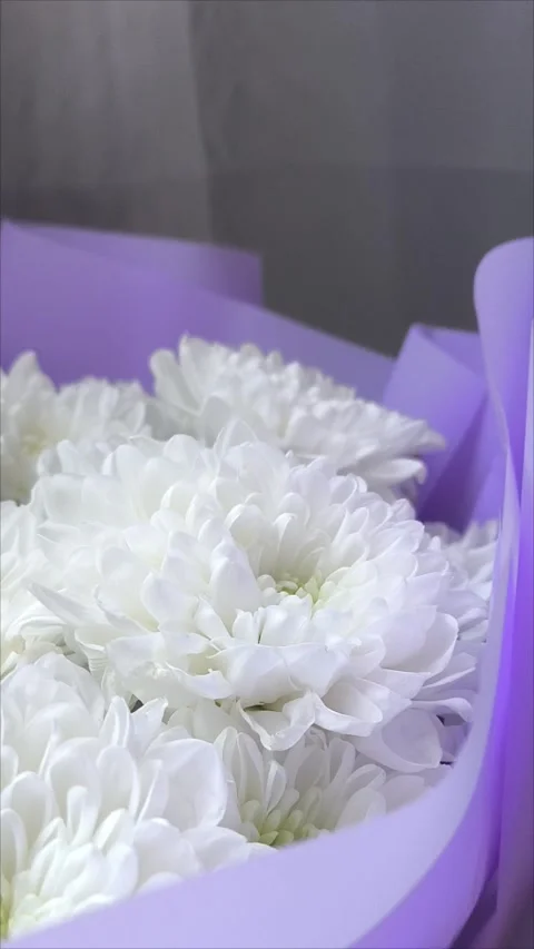The camera captures a bouquet of chrysanthemums in a vase on the window against Vidéo 313265876