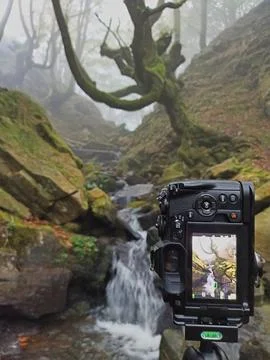 Camera Capturing Mystical Forest Waterfall on a Tripod - Photographer's vie.. Stock-Fotos