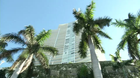 Camera car in downtown Miami Stock Footage 38127182