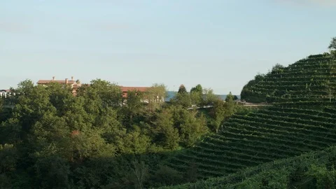 Camera car - lovely view of a vineyard near Santo Stefano- Valdobbiadene - 4k Stock Footage 115507573