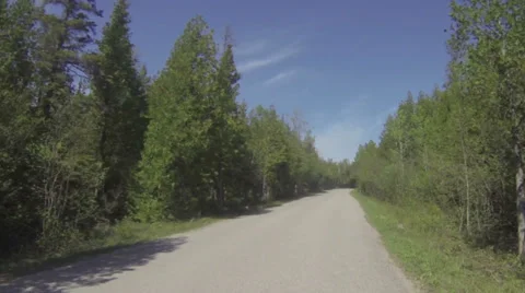 Camera car in national park Video stock 39652091