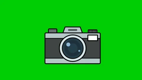 Camera Click Green Screen video footage Stock Footage 262513925