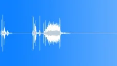 Camera Click Sound Effect