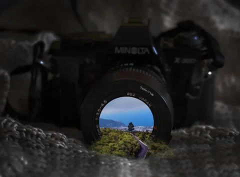 Camera Composing Stock Illustration