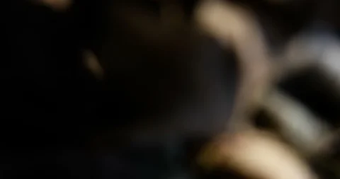 Camera crane shot of a fall carpet of dry leaves in the forest Stockbeeldmateriaal 118438317