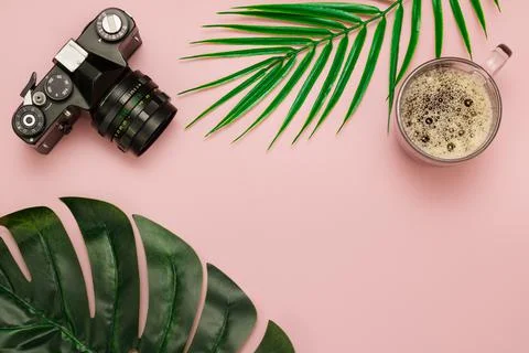 A camera, a cup of coffee and a leaf of a palm tree lie on a pink background Stock Photos