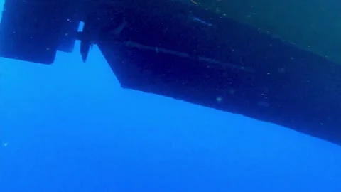 Camera dangled overboard in shark infested waters records beautiful footage Stock Footage 272565281