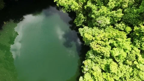 The camera descends low over the lake Video stock 71362535