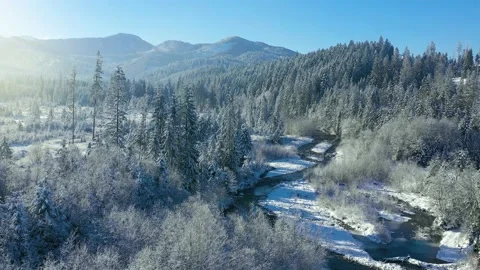 Camera descends over the mountain river surrounded by a snow-covered forest. Stock Footage 220737518