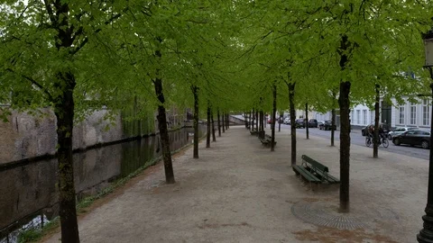 Camera descends in pretty park beside Dijver Canal in Brugge, Stock Footage 90453853
