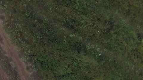 Camera Descends in a Spiral Stock Footage 69770383