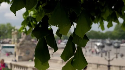 Camera descends to tourists looking at Eiffel Tower over Place de la Concorde Vídeo Stock 114355628