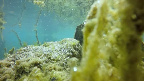 	camera dive into the water transparent stream Video stock 106805656