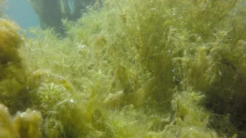 	camera dive into the water transparent stream Stock Footage 106806337