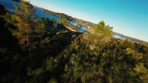 Camera dives through tree canopy toward serene lake and distant shoreline Stock Footage 342272111