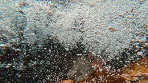 Camera dives under surface, plunging from split-level view into heart of Stock Footage 333513995