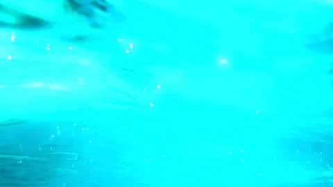 Camera diving underwater Stock Footage 77629749