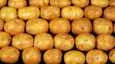 Camera Dolly Shot Over Fresh Raw Potatoes Pattern Stockbeeldmateriaal 344023820