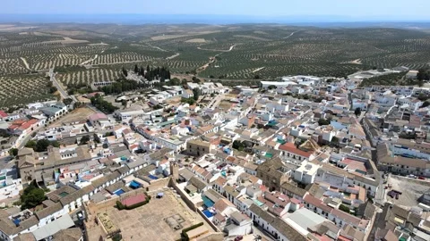 A camera drone flies backward over Bujalance Stock Footage 202600469