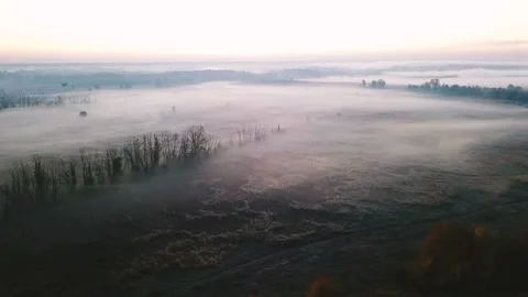 Camera drone flies over a field with fog. Plants in hoarfrost. Autumn trees Vídeo Stock 97831205