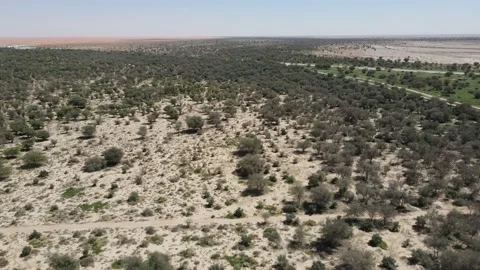 A camera drone flies over Rawdat Khuraim National Park Stock Footage 198064511