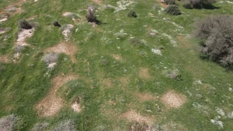 A camera drone flies over Rawdat Khuraim National Park Stock Footage 198064571