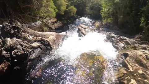 Camera emerging from underwater to a view down a rocky river with rapids Stock Footage 130607229