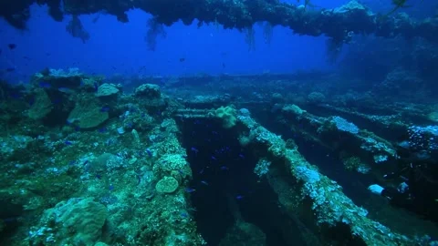 The camera enters the wreck of a ship. Stock Footage 325733454