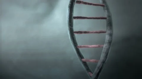 Camera exploring a CGI representation of a dna strand Stock Footage 57700075