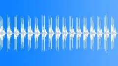 Camera fast burst LOOP Sound Effect
