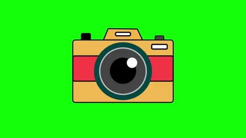 Camera Flash Animation On Green Screen Stock Footage 335854237