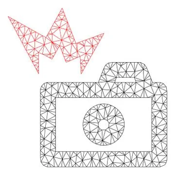 Camera Flash Polygonal Frame Vector Mesh Illustration Illustrazione stock