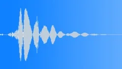 CAMERA, FLASHSound Effect