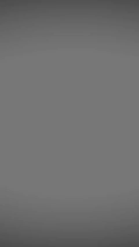 Camera Flash Strobe Shutter Light Vertical Frame 4K Overlay Видео 289914073