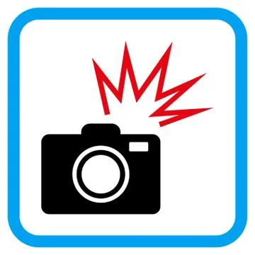 Camera Flash Vector Icon in a Frame Illustrazione stock