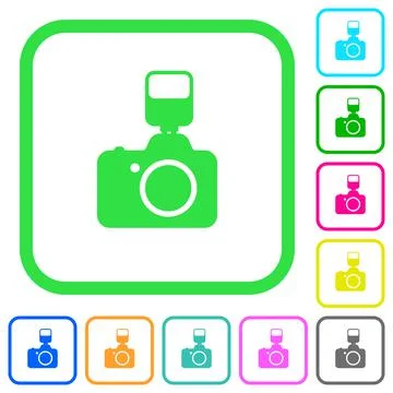 Camera with flash vivid colored flat icons icons Illustrazione stock