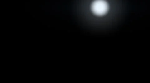 Camera Flashes 1080p Stock Footage 1089591