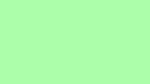 Camera Flashing 4K Overlay Green Screen Background Stock Footage 289915089