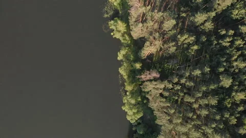 The camera flies along the edge of the river above the forest. 4k. Stock Footage 91514874