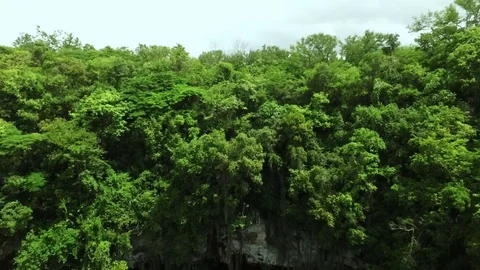 Camera flies along the lake Stock Footage 71363428