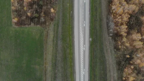 The camera flies along the road above the autumn forest. Stock Footage 99970531