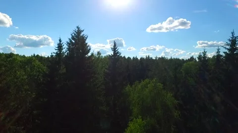 Camera flies along the treetops.mp4 Stock Footage 66514555