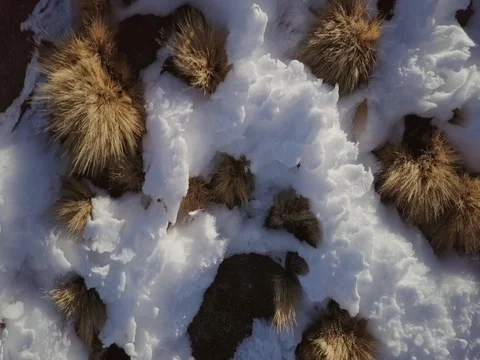 Camera flies up and away from snow in northern Chile Stock Footage 83294642