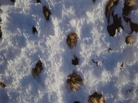 Camera flies up and away from snow in northern Chile Stock Footage 83294846