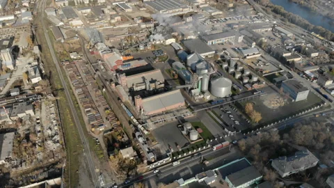 The camera flies around the plant. Stock Footage 101001705